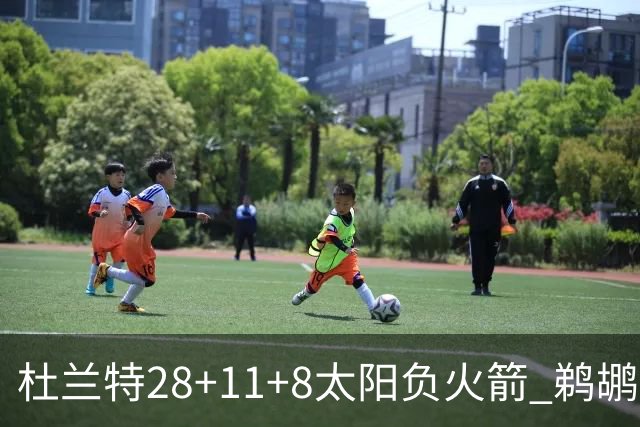 杜兰特28+11+8太阳负火箭 鹈鹕负热火止4连胜